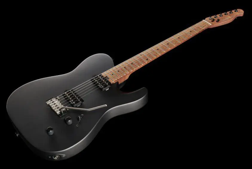 Harley Benton Fusion-T HH Roasted