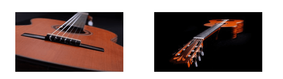 Chitarra Acustica per Principianti