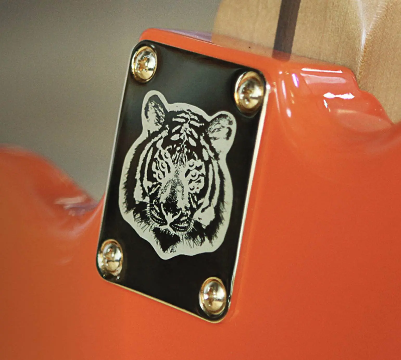 Customizzazione piastra