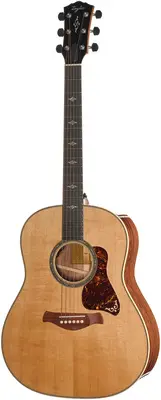 Taylor Gold Label 817e