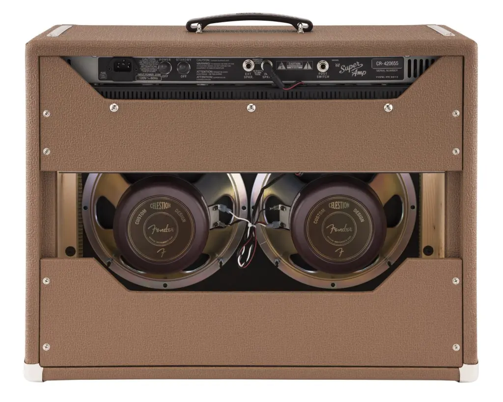 Due coni da 10” Celestion Custom Design