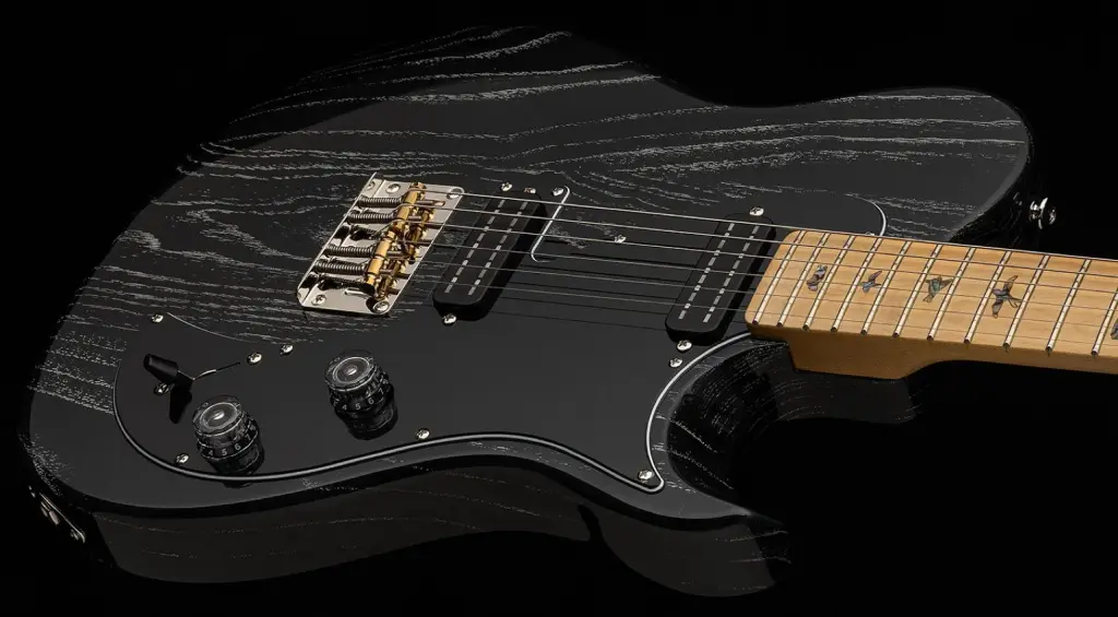 PRS SE NF 53: Una T-Style economica?