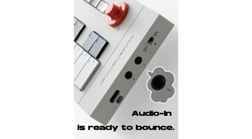 Wunderkammer WoO.1 ora con ingresso audio