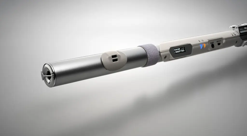 Roland Aerophone Brisa