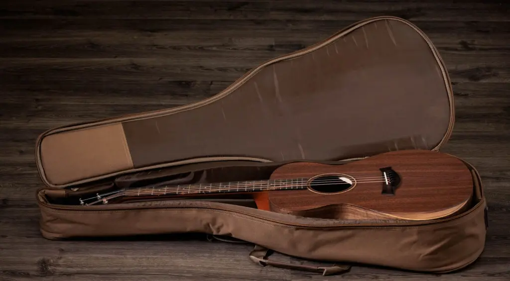 Academy 22 con la gig bag