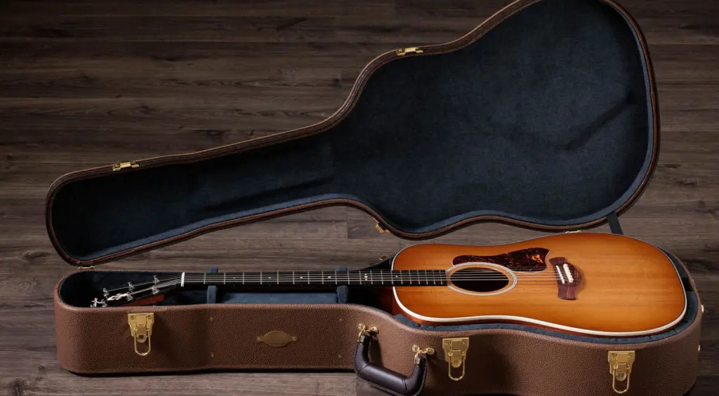 Inclusa una fantastica custodia rigida