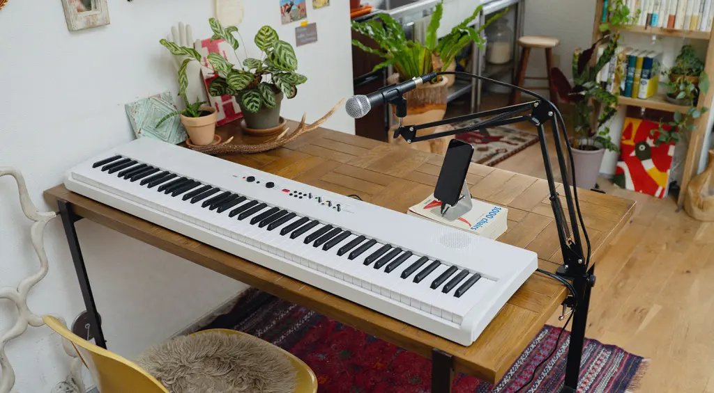 KORG Liano LIVE!