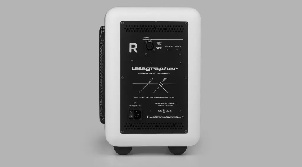 Telegrapher Raccoon back