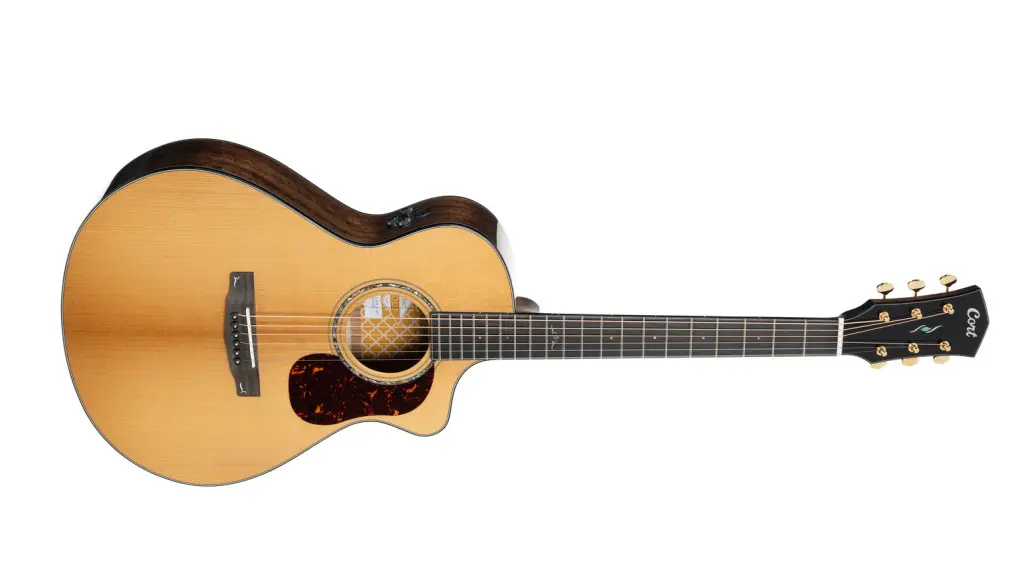 Cort Gold MC6