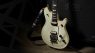 EVH MIJ Series Signature Wolfgang