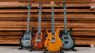 PRS Left-Handed SE Series