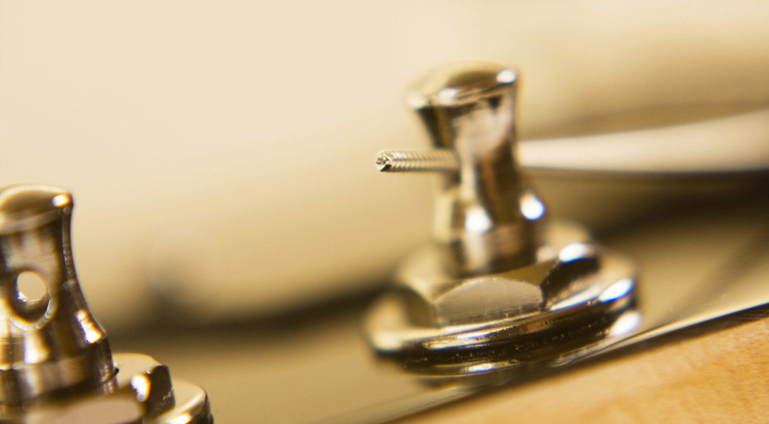 Ora è il momento di inserire le corde nelle meccaniche.