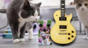 Gear Boutique per Chitarristi