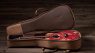 Taylor GS Mini-e 50th Anniversary: Nuove GS Mini stupende!