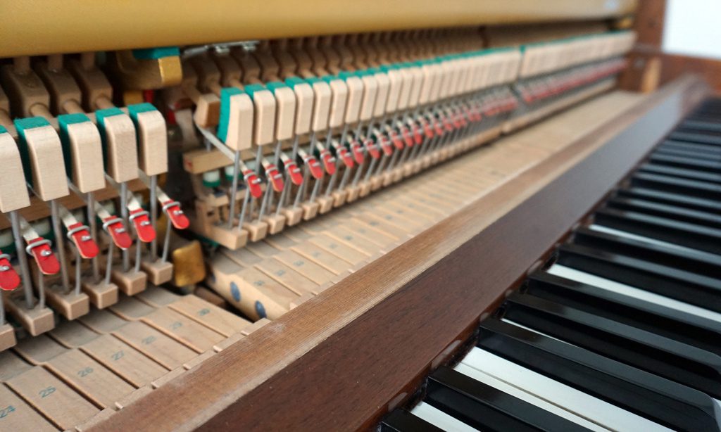Anche i tasti fanno parte del meccanismo d'azione del pianoforte