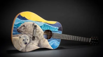 Martin D Biosphere III: una chitarra per salvare il mondo?