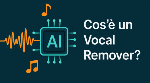 A cosa serve un vocal remover?