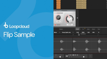 Flip Sample: variazioni di un sample con un solo clic!