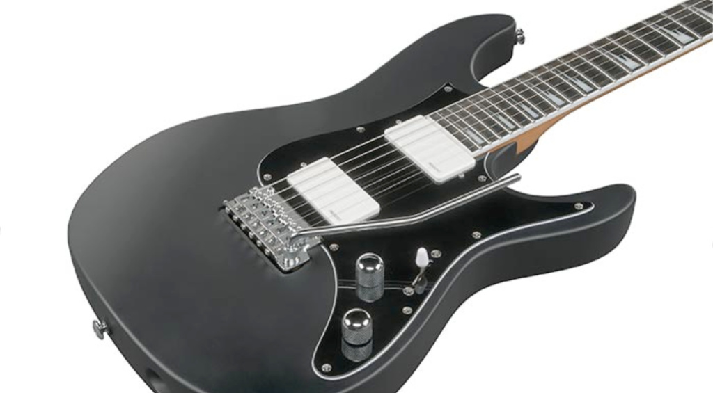 Bernth’s custom Fishman Fluence