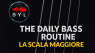 Scala Maggiore: Formula, Gradi e Accordi | The Daily Bass Routine