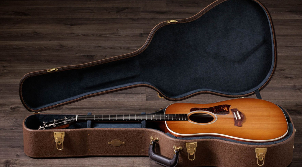 Inclusa una fantastica custodia rigida