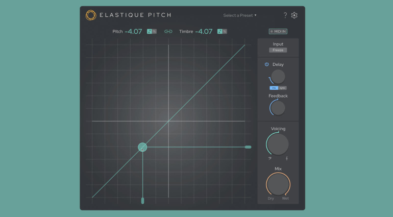 zplane ELASTIQUE PITCH 2.5