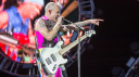 Flea presenta A Plea
