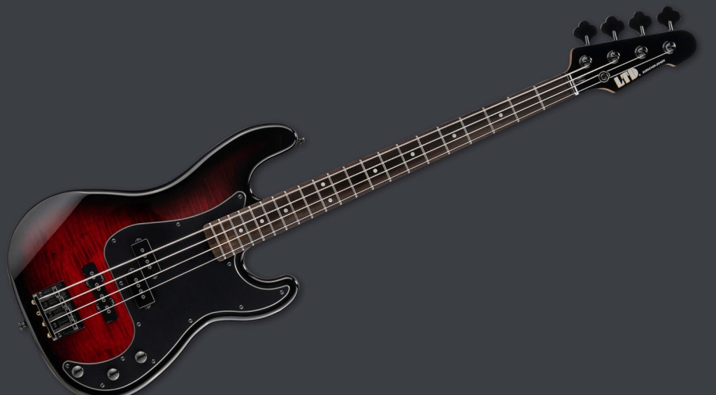 ESP LTD Surveyor-204DX