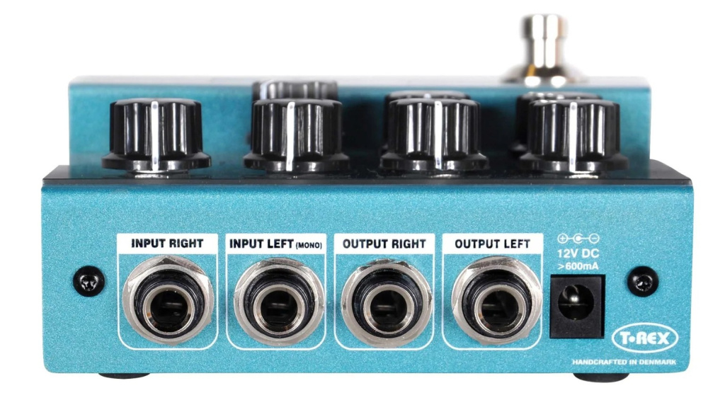 T-Rex Roommate D Rear View