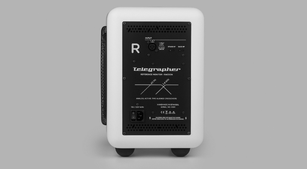 Telegrapher Raccoon back