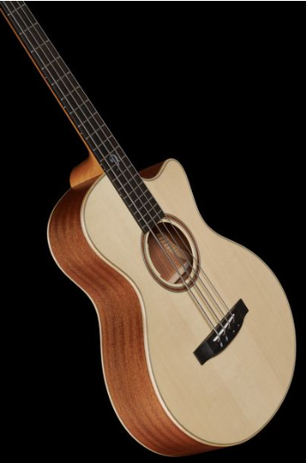 Cassa Armonica di un basso acustico