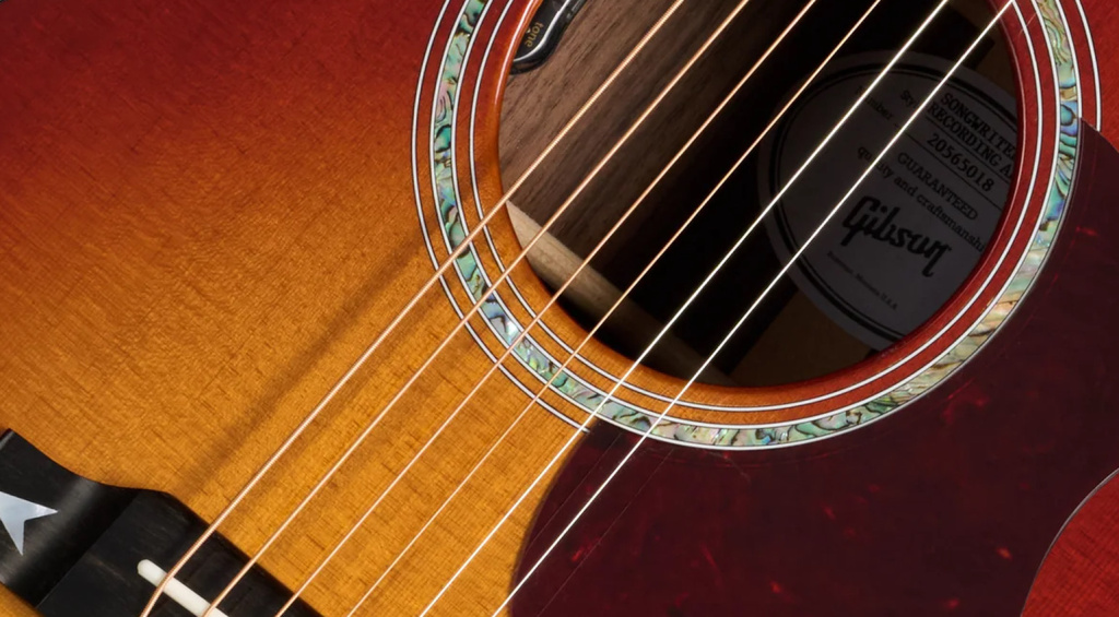 Amplificazione LR Baggs