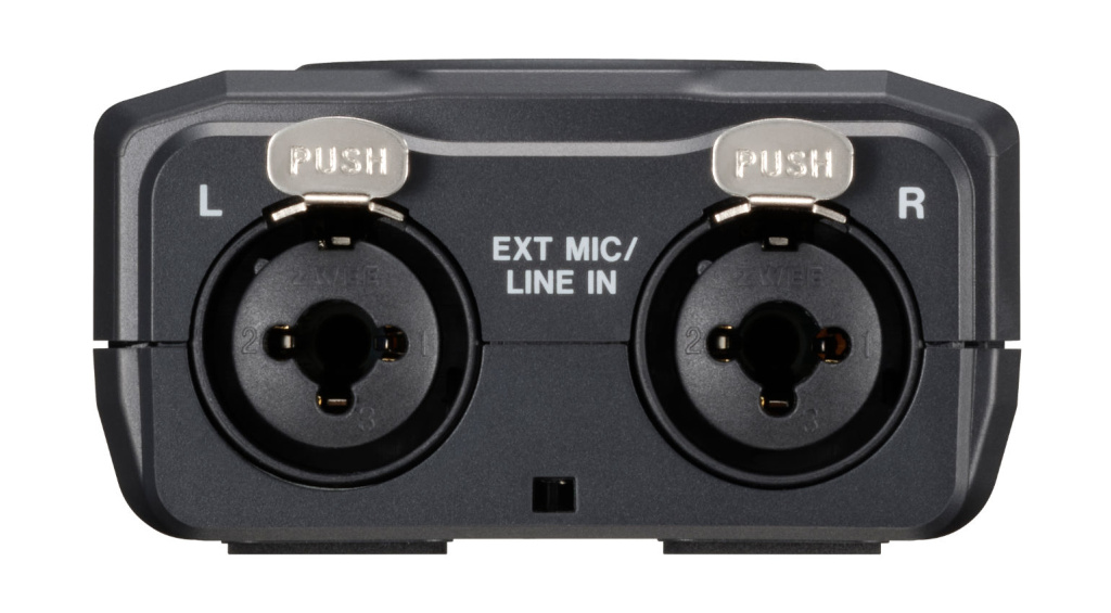 Input L e R in formato Combo XLR