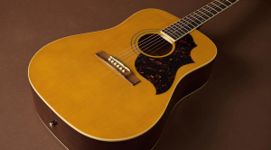 Epiphone Hummingbird Tribute