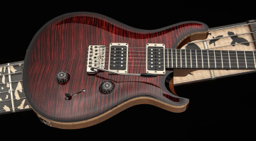 PRS Custom 24 Birds of a Feather