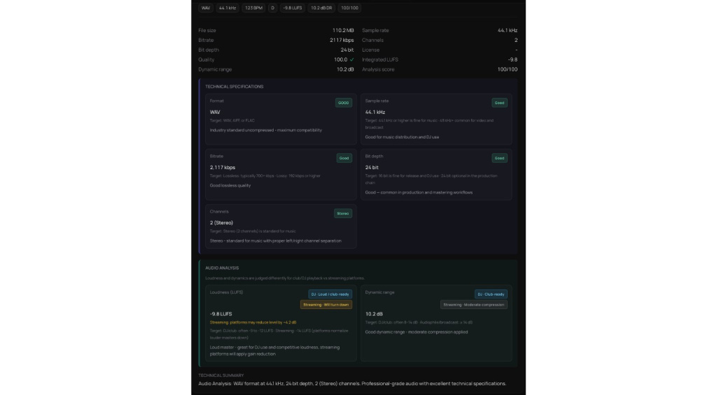 suru Audio Analysis