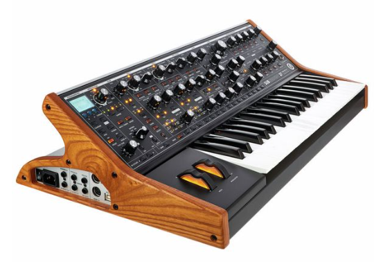 Moog Subsequent 37 side
